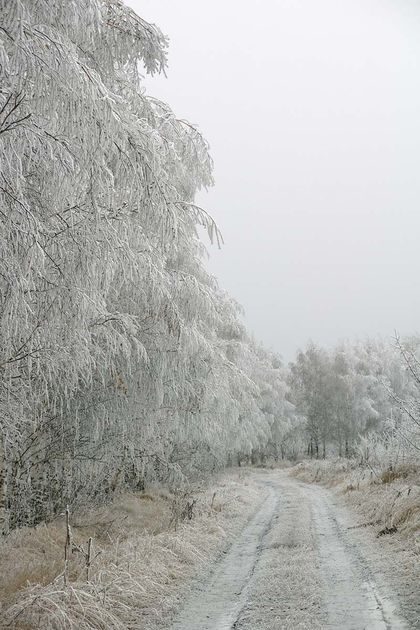 invierno-rusia.jpg